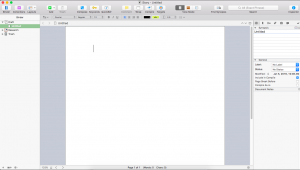 Scrivener Walkthrough - Blank project screenshot